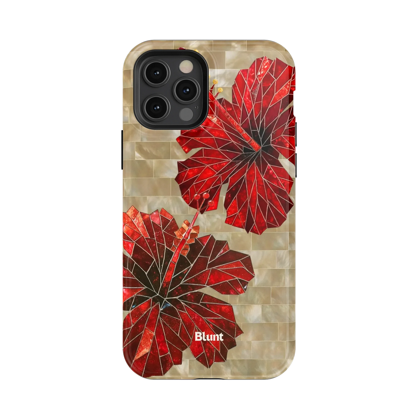 Ruby Stone iPhone Case