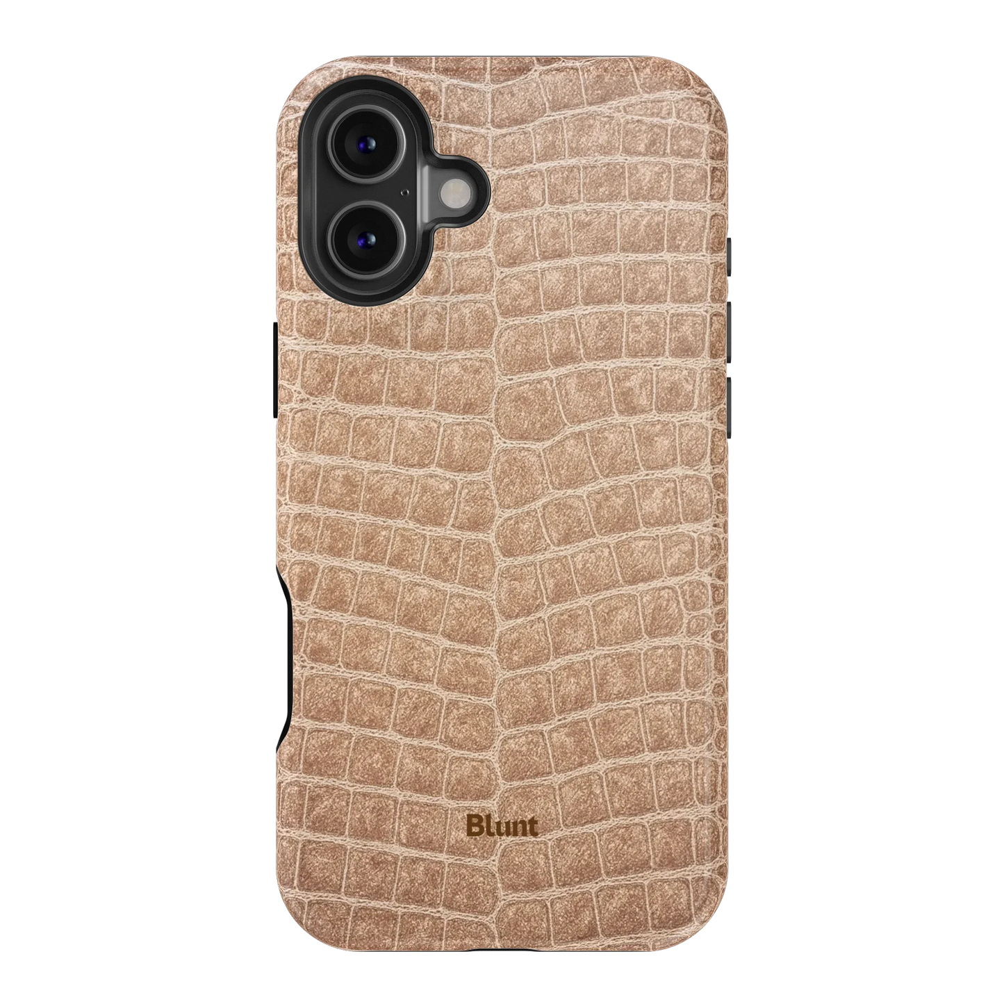 Sandstone iPhone Case