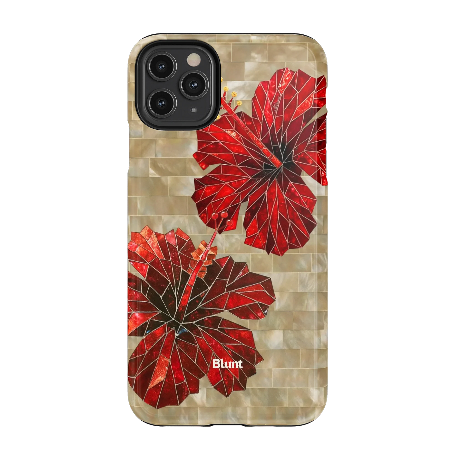 Ruby Stone iPhone Case