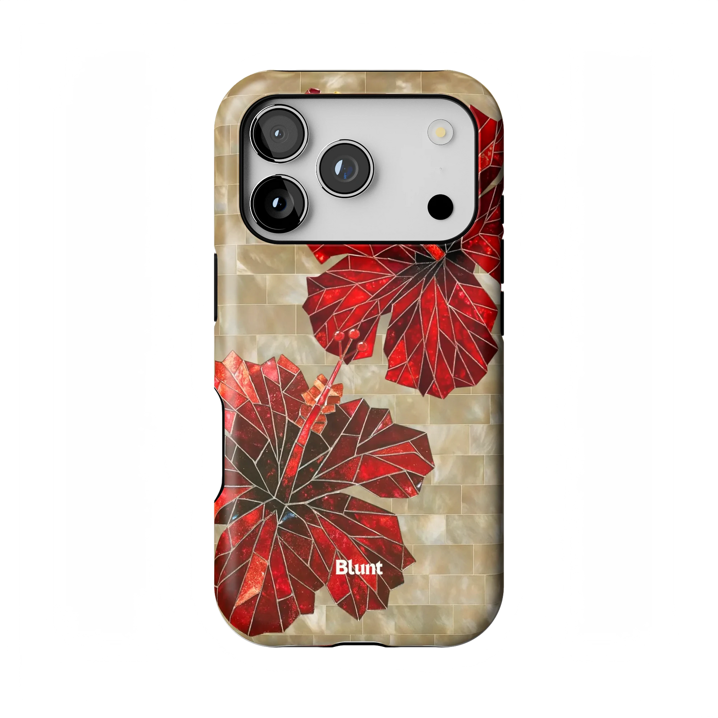 Ruby Stone iPhone Case