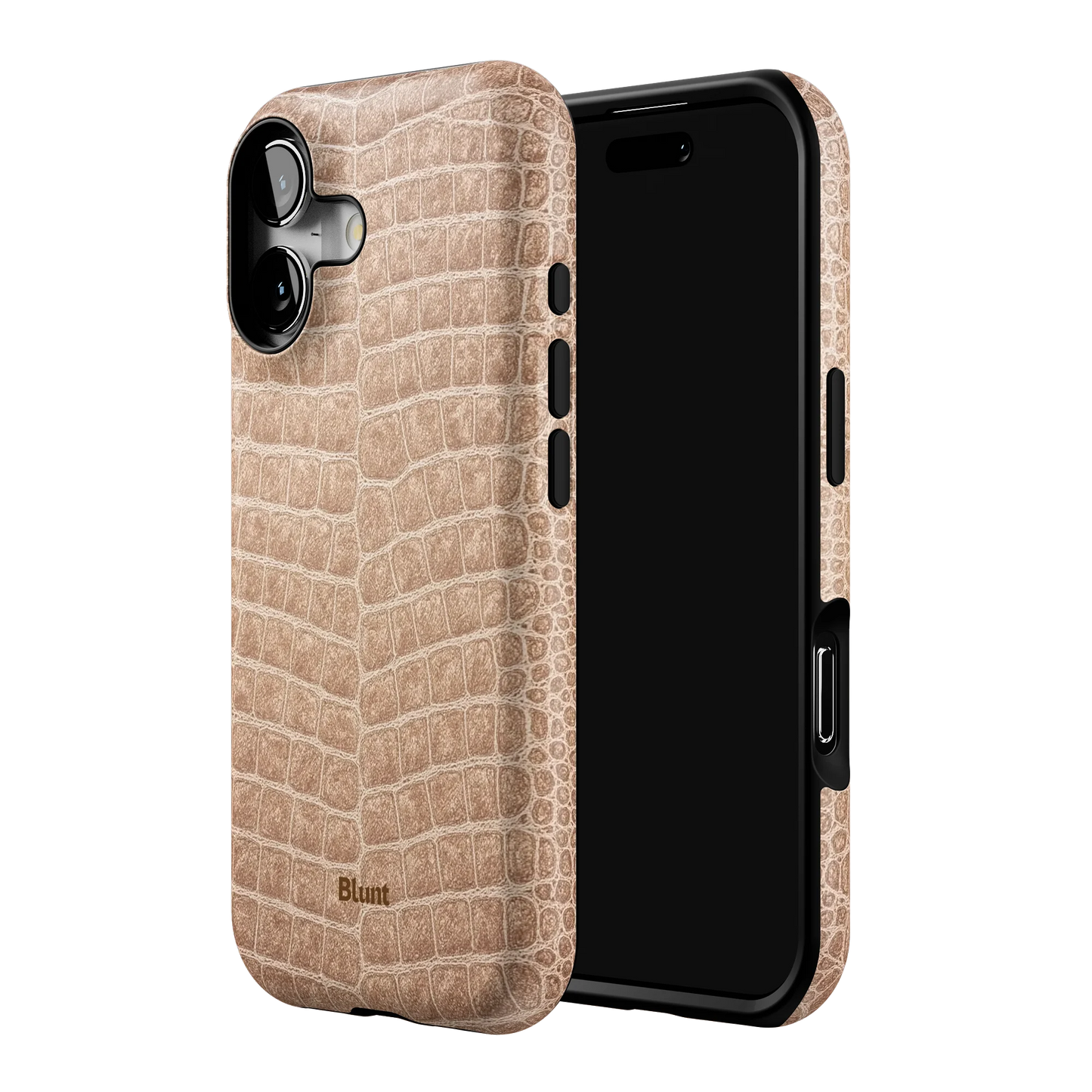 Sandstone iPhone Case