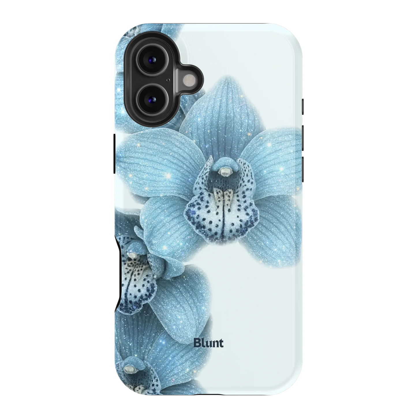 Blue Mistie iPhone Case