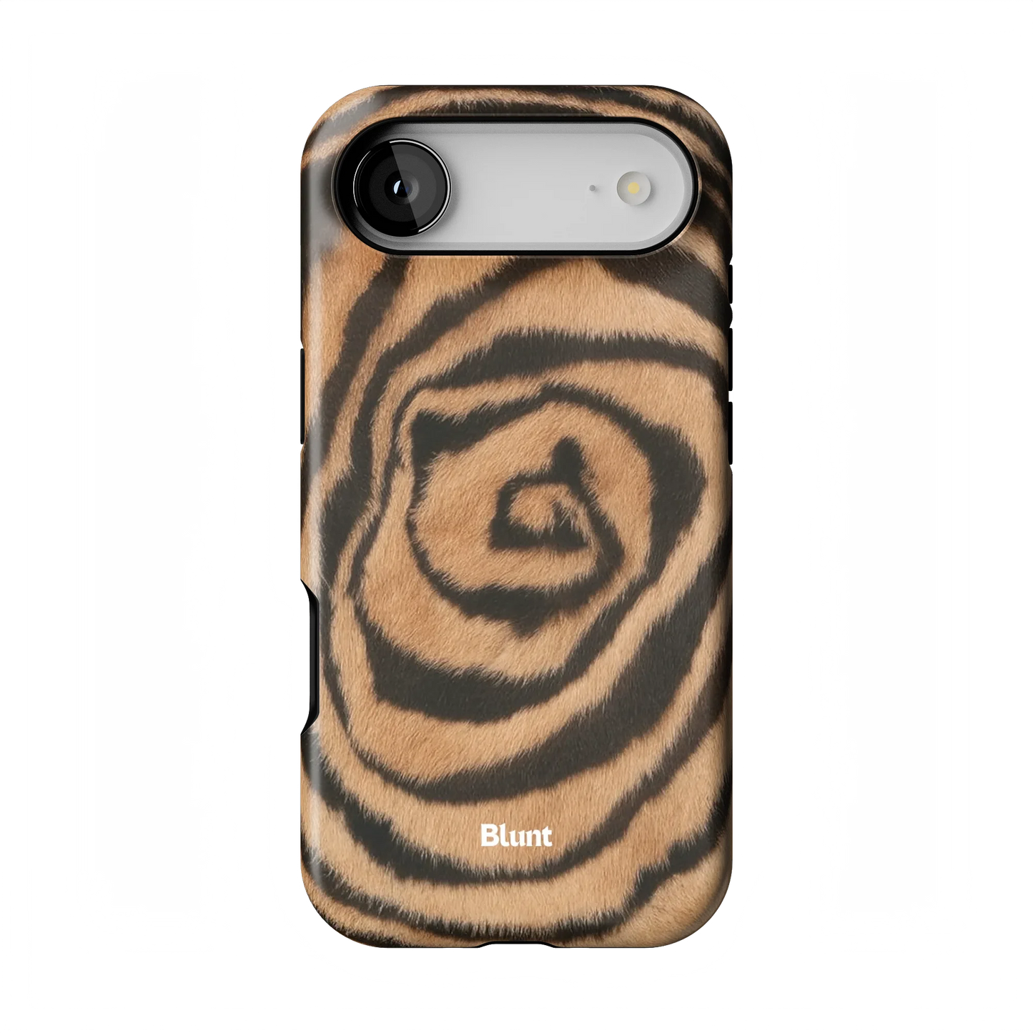 Cinnamon Swirl iPhone Case