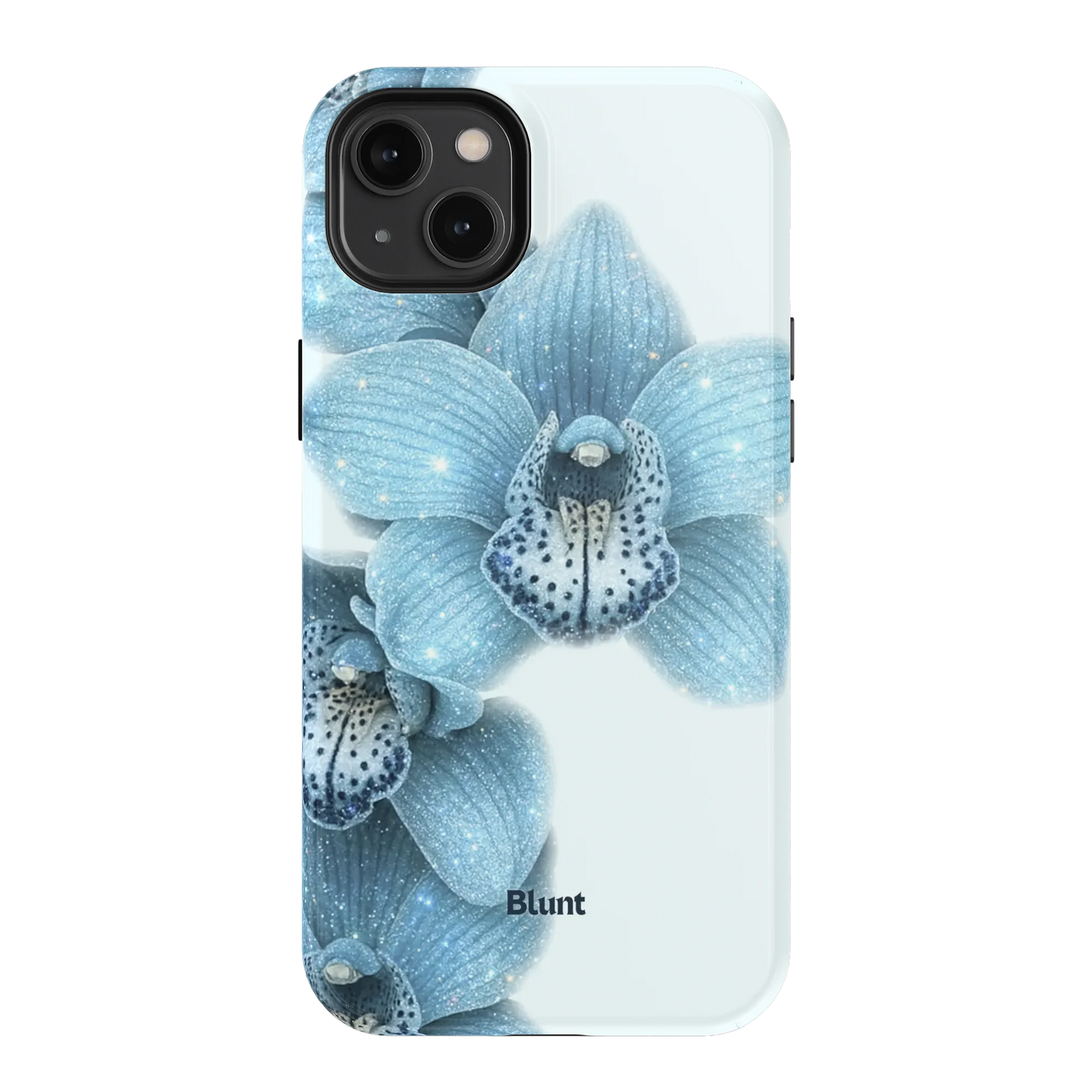 Blue Mistie iPhone Case