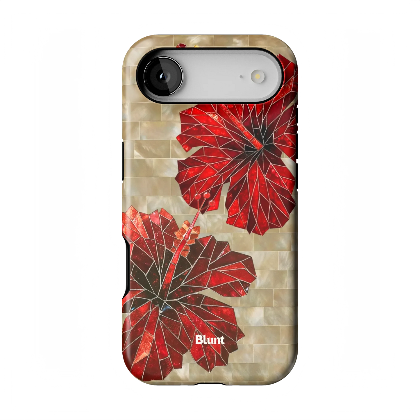 Ruby Stone iPhone Case