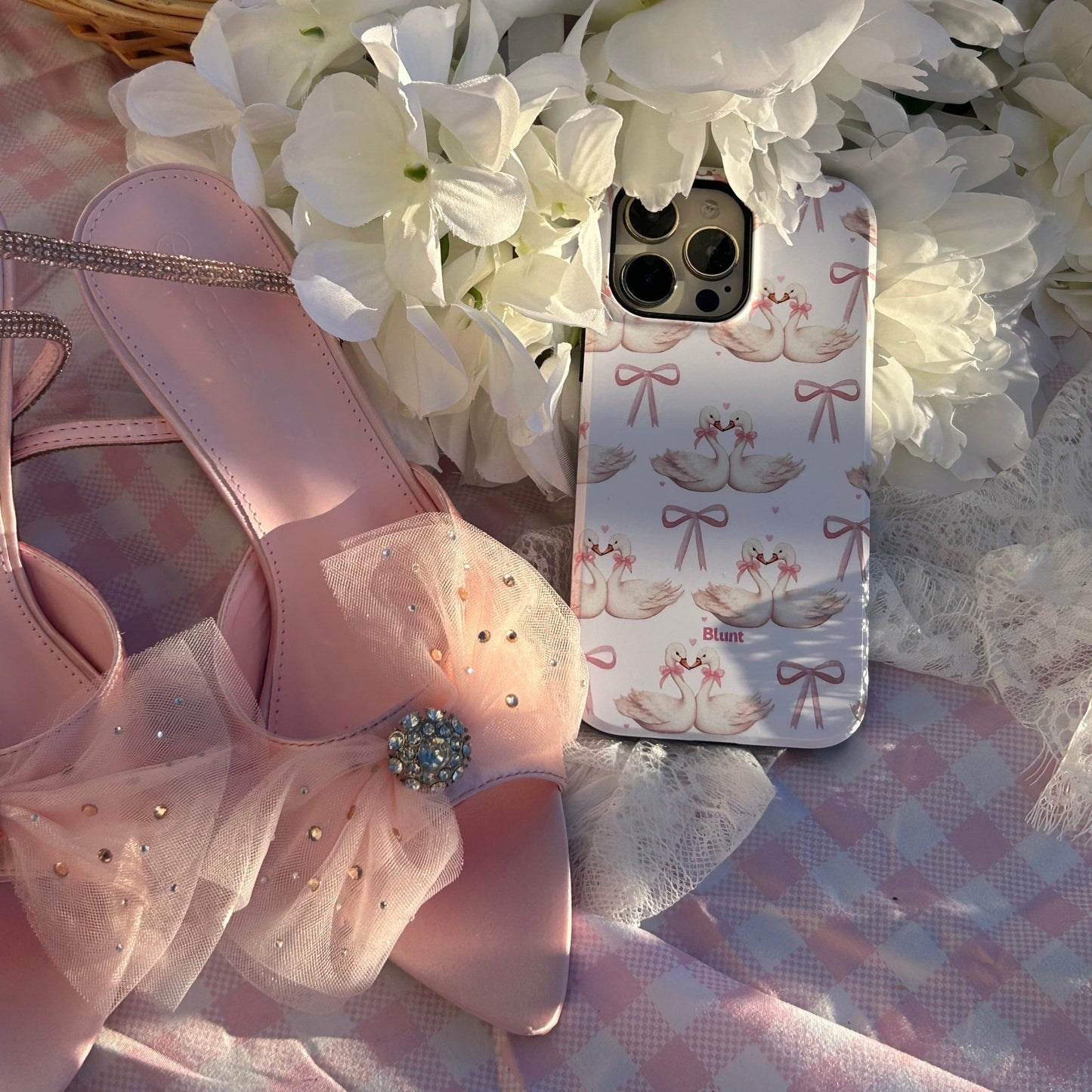 Swan Lake iPhone Case - blunt cases
