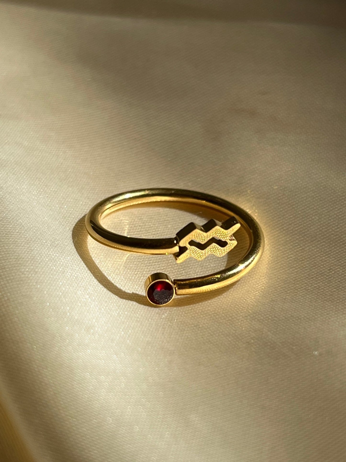 Zodiac Ring - blunt cases