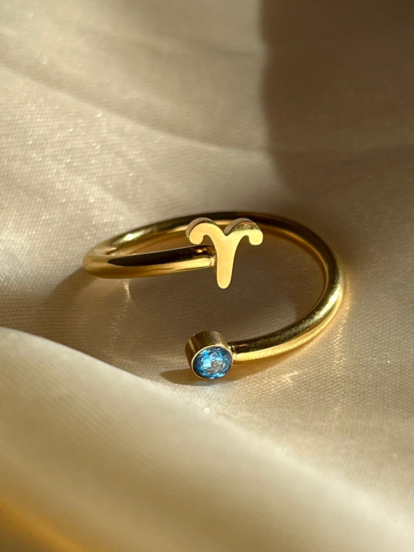 Zodiac Ring - blunt cases