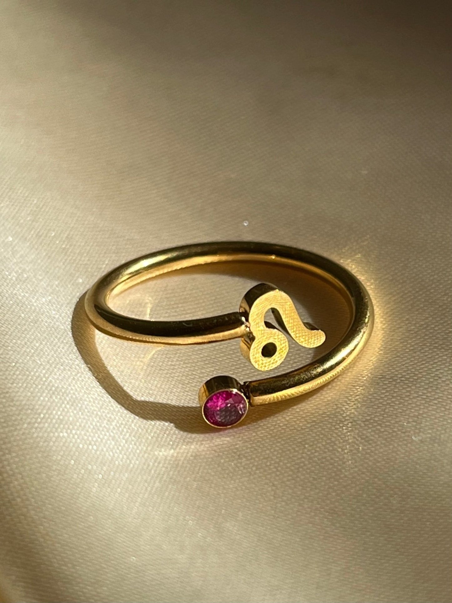 Zodiac Ring - blunt cases
