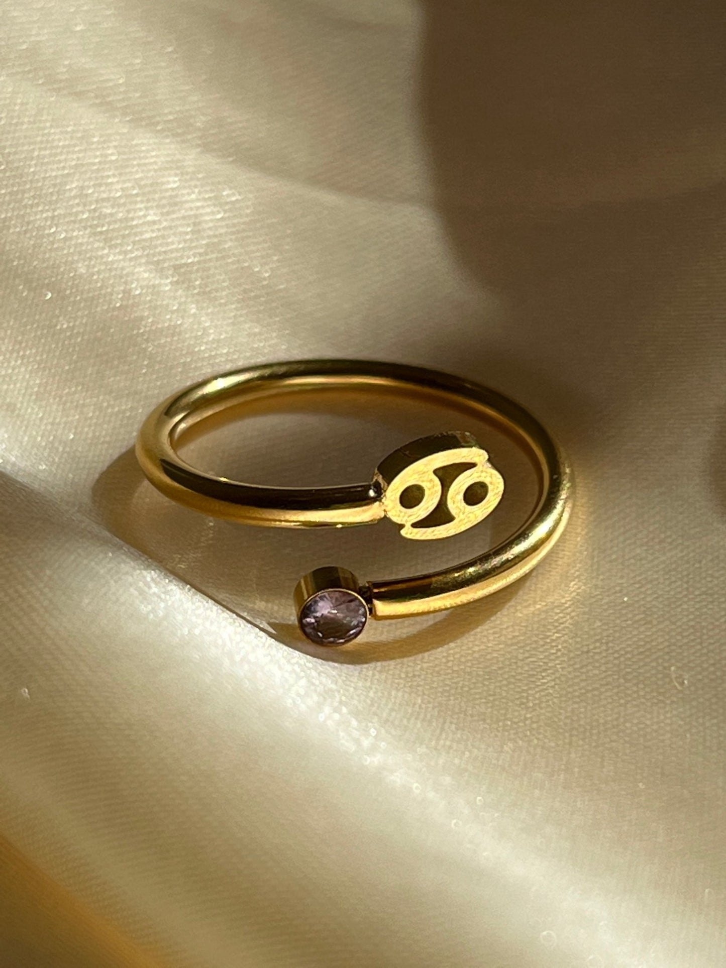 Zodiac Ring - blunt cases