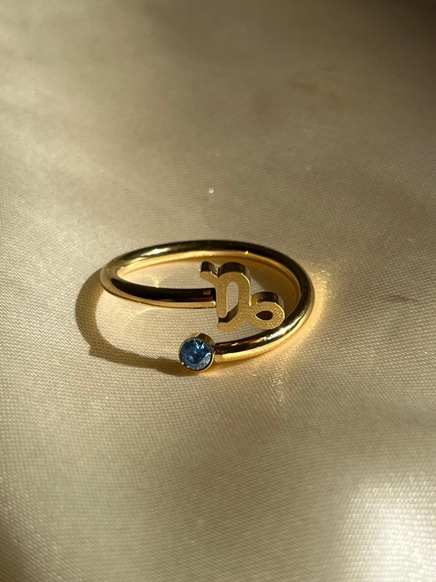 Zodiac Ring - blunt cases