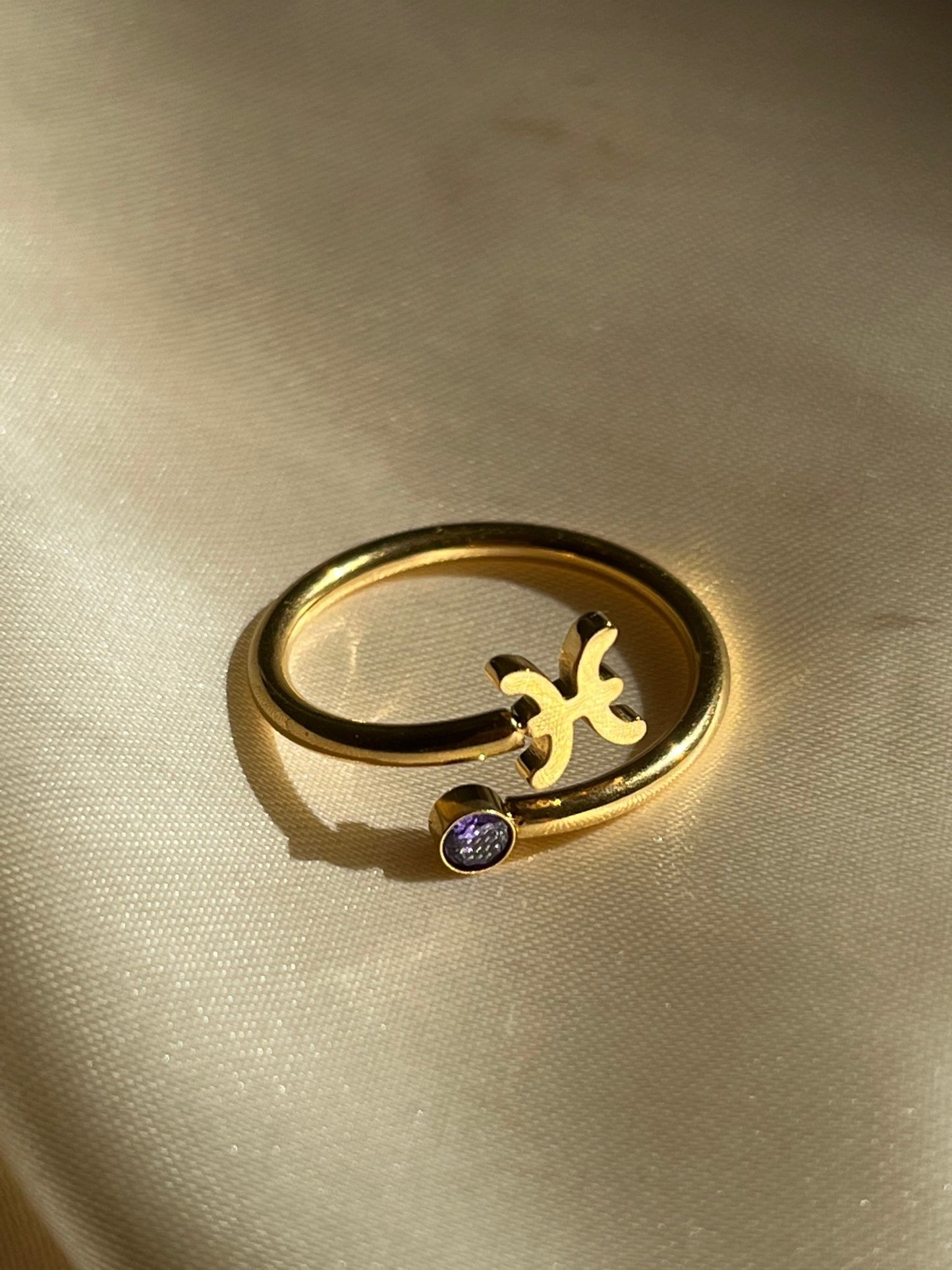 Zodiac Ring - blunt cases