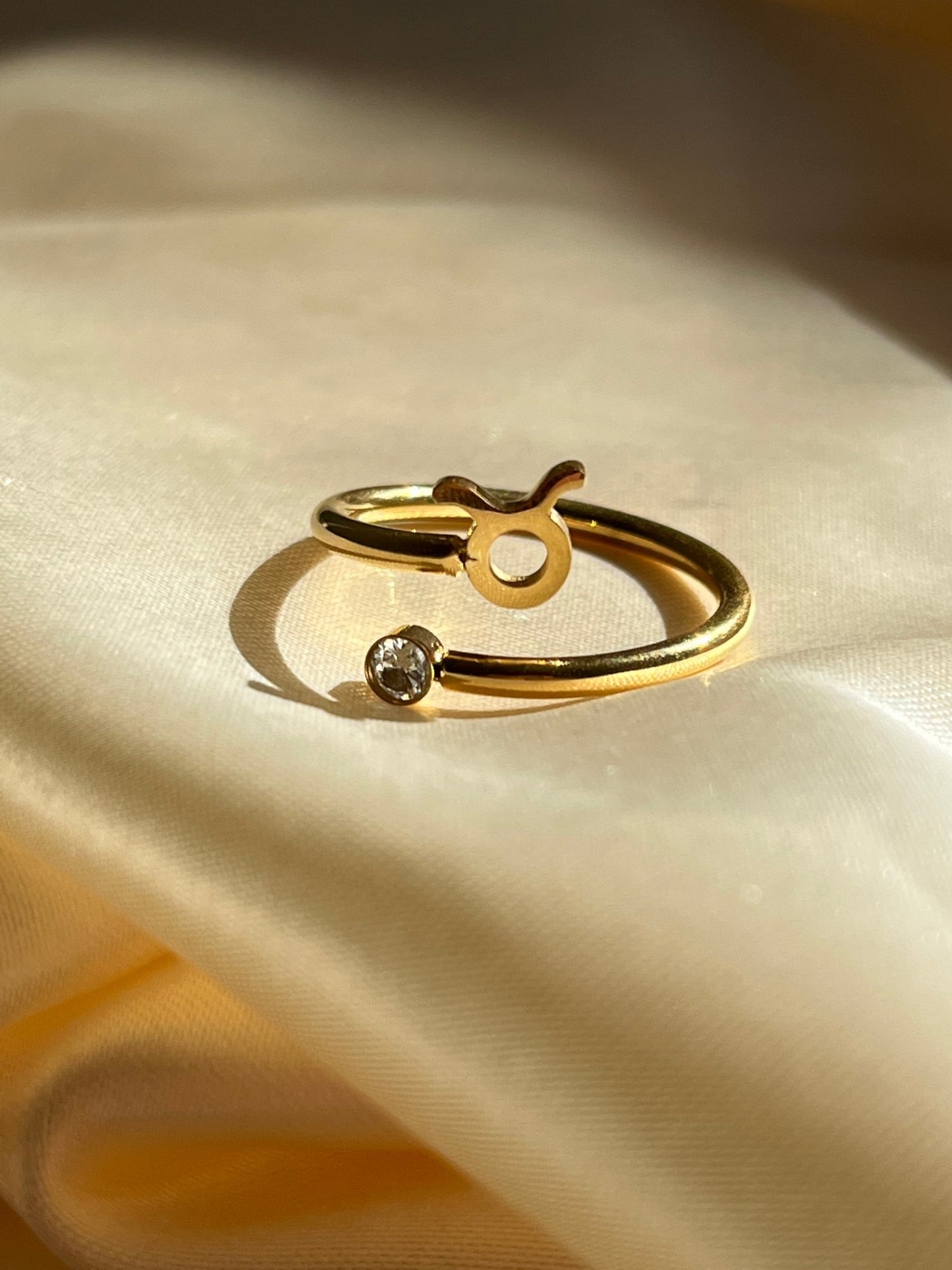 Zodiac Ring - blunt cases