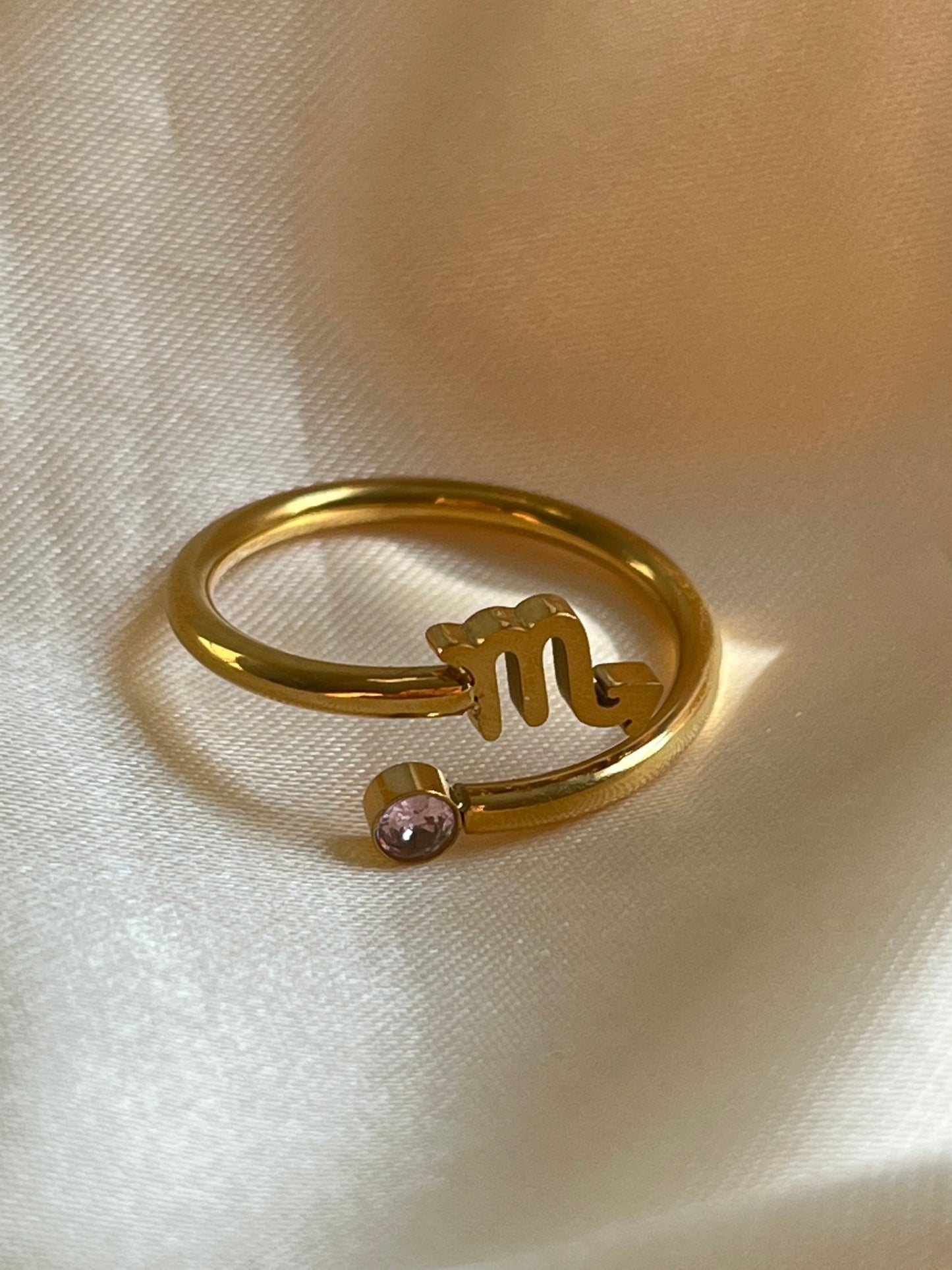 Zodiac Ring - blunt cases