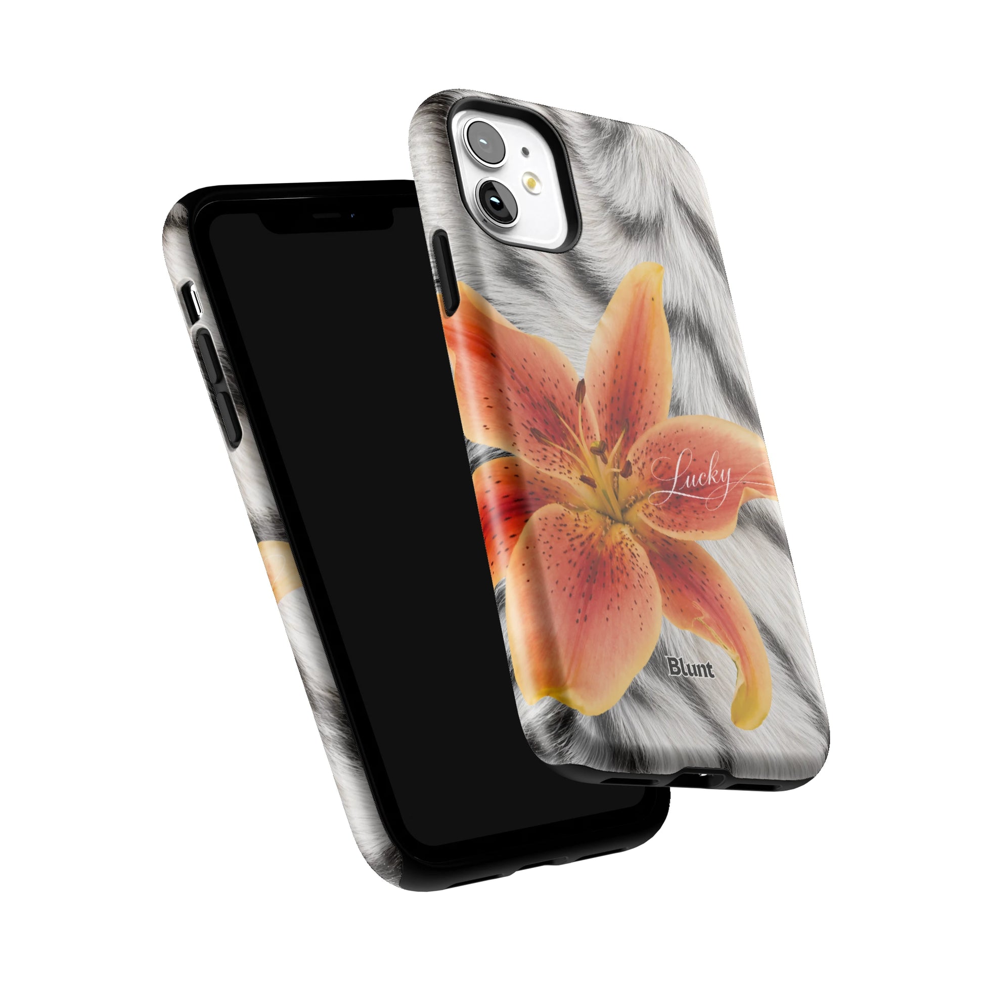 Iphone_11_Iphone_6