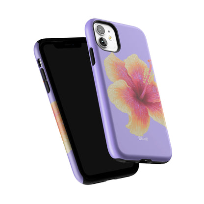 Iphone_11_Iphone_6