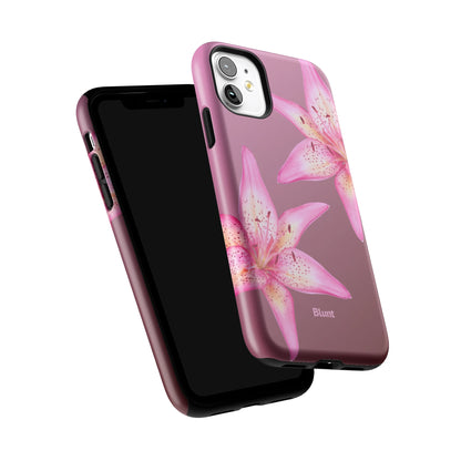 Iphone_11_Iphone_6