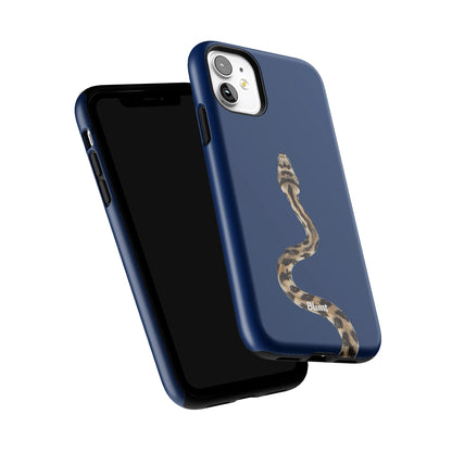 Iphone_11_Iphone_6
