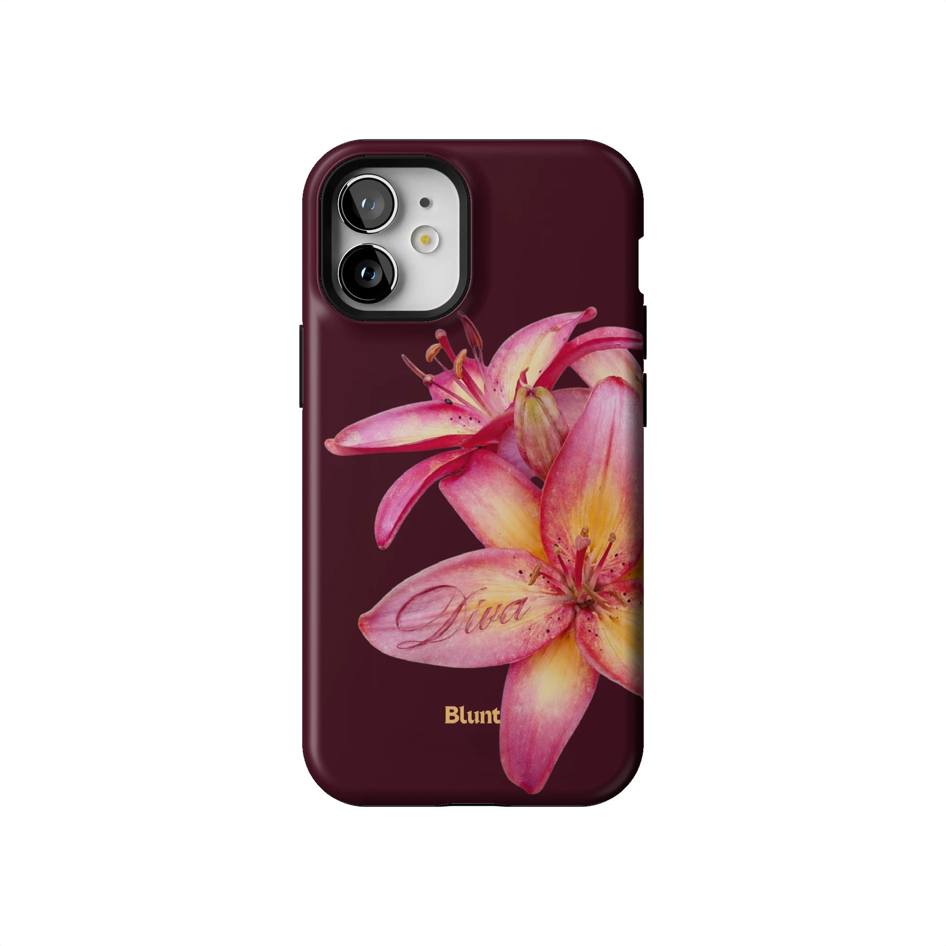 Iphone_12_Mini_Air_Plus_1