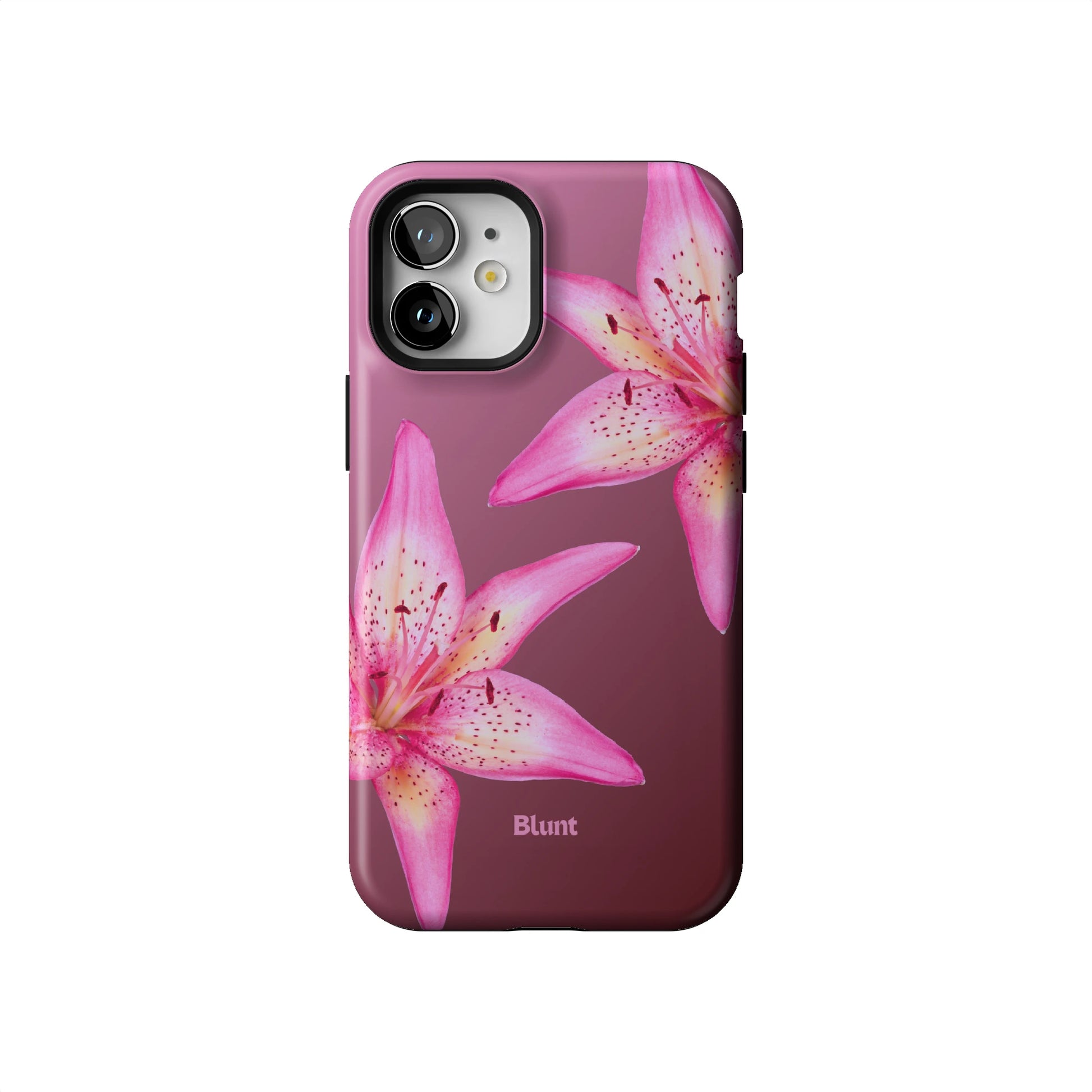 Iphone_12_Mini_Air_Plus_1