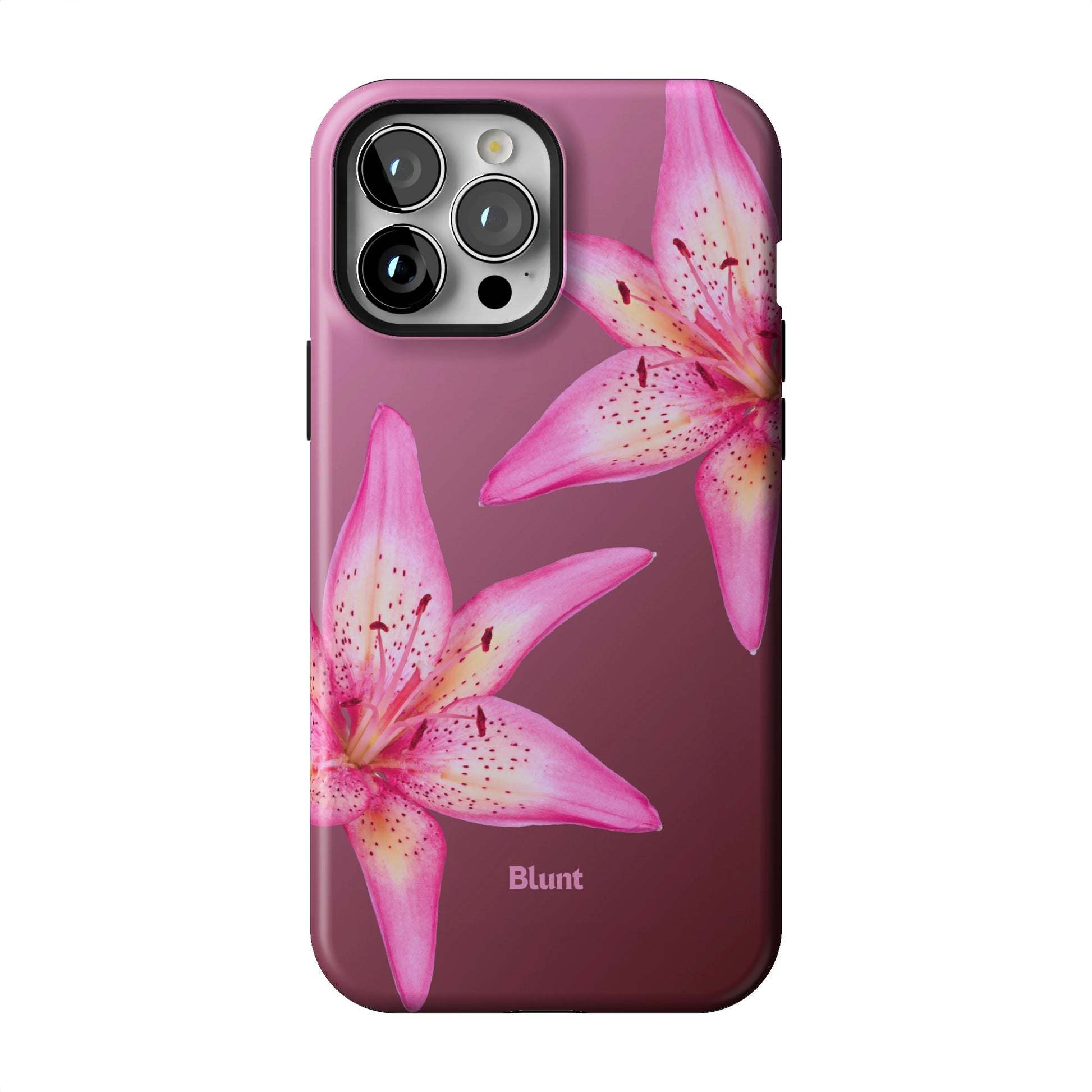 Iphone_13_Pro_Max_1