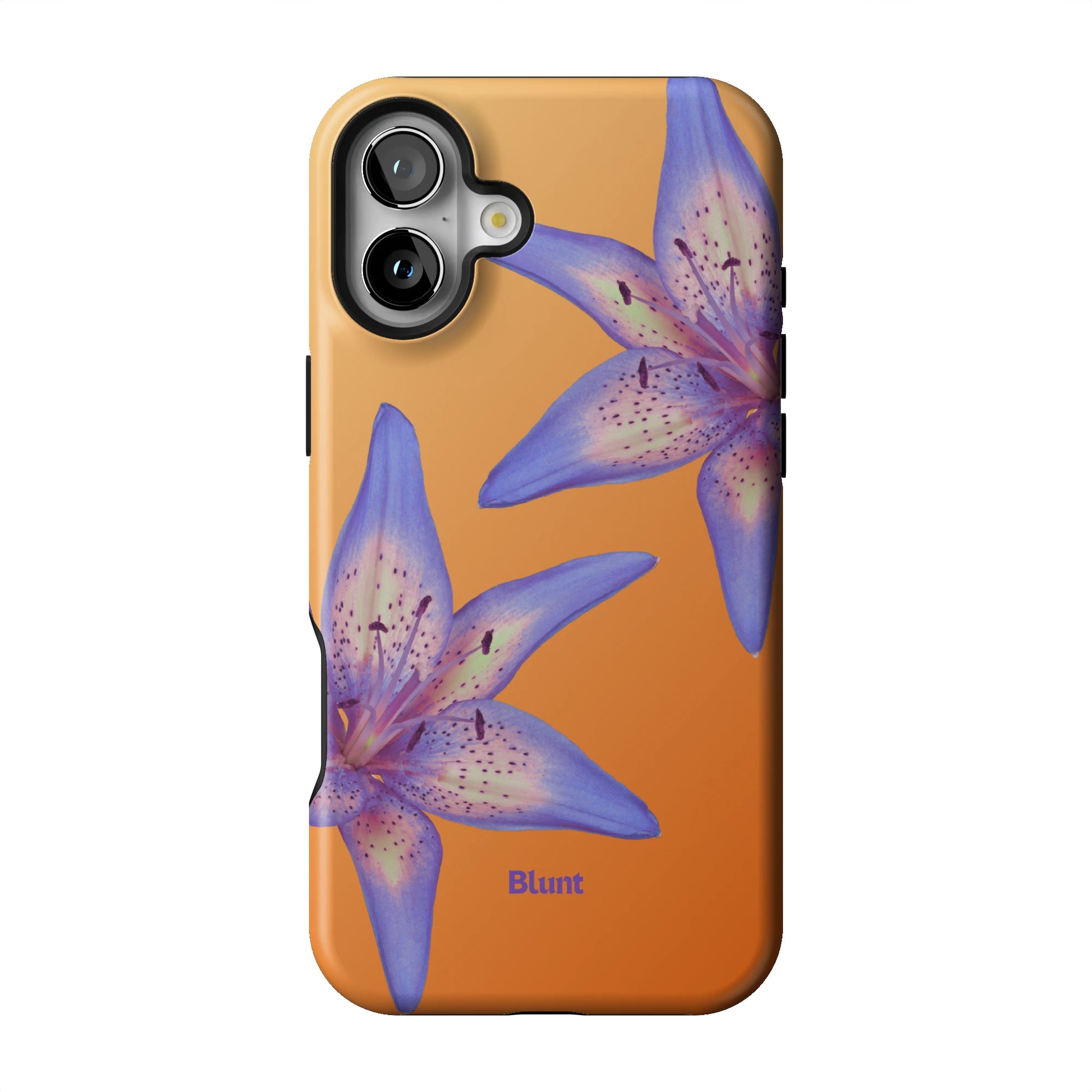 Iphone_16_Mini_Air_Plus_1