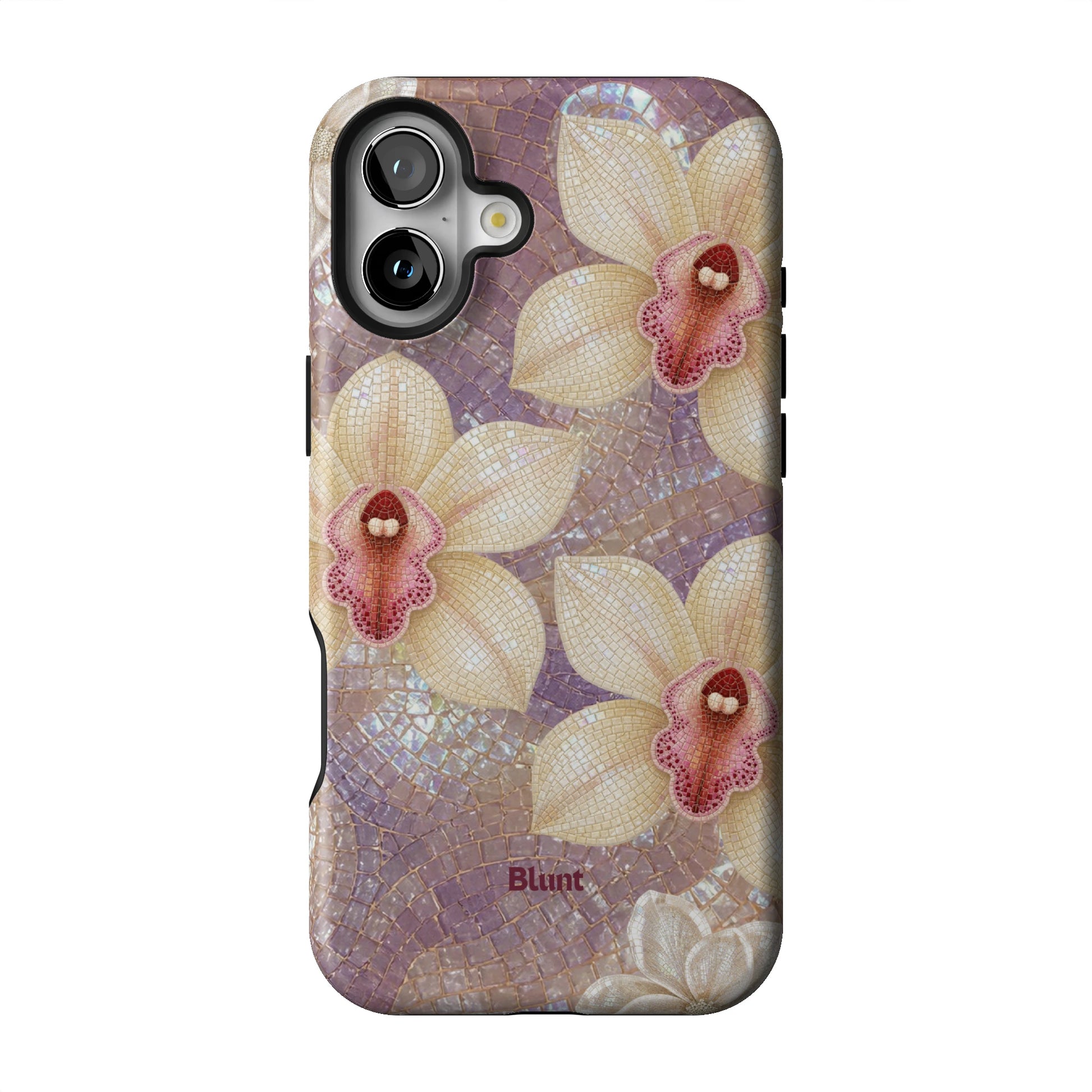 Iphone_16_Mini_Air_Plus_1