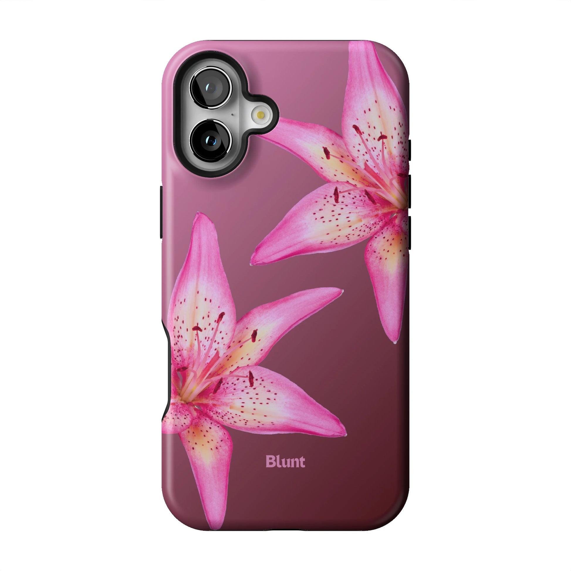 Iphone_16_Mini_Air_Plus_1