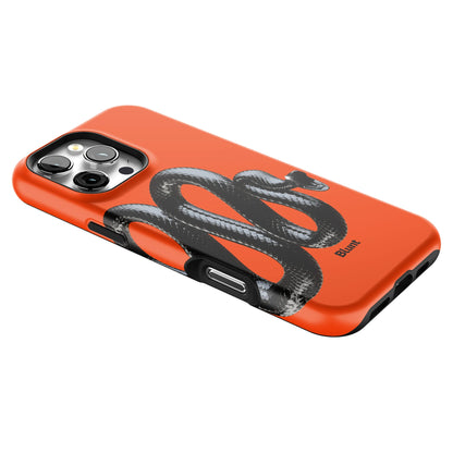 Iphone_16_Pro_Max_2