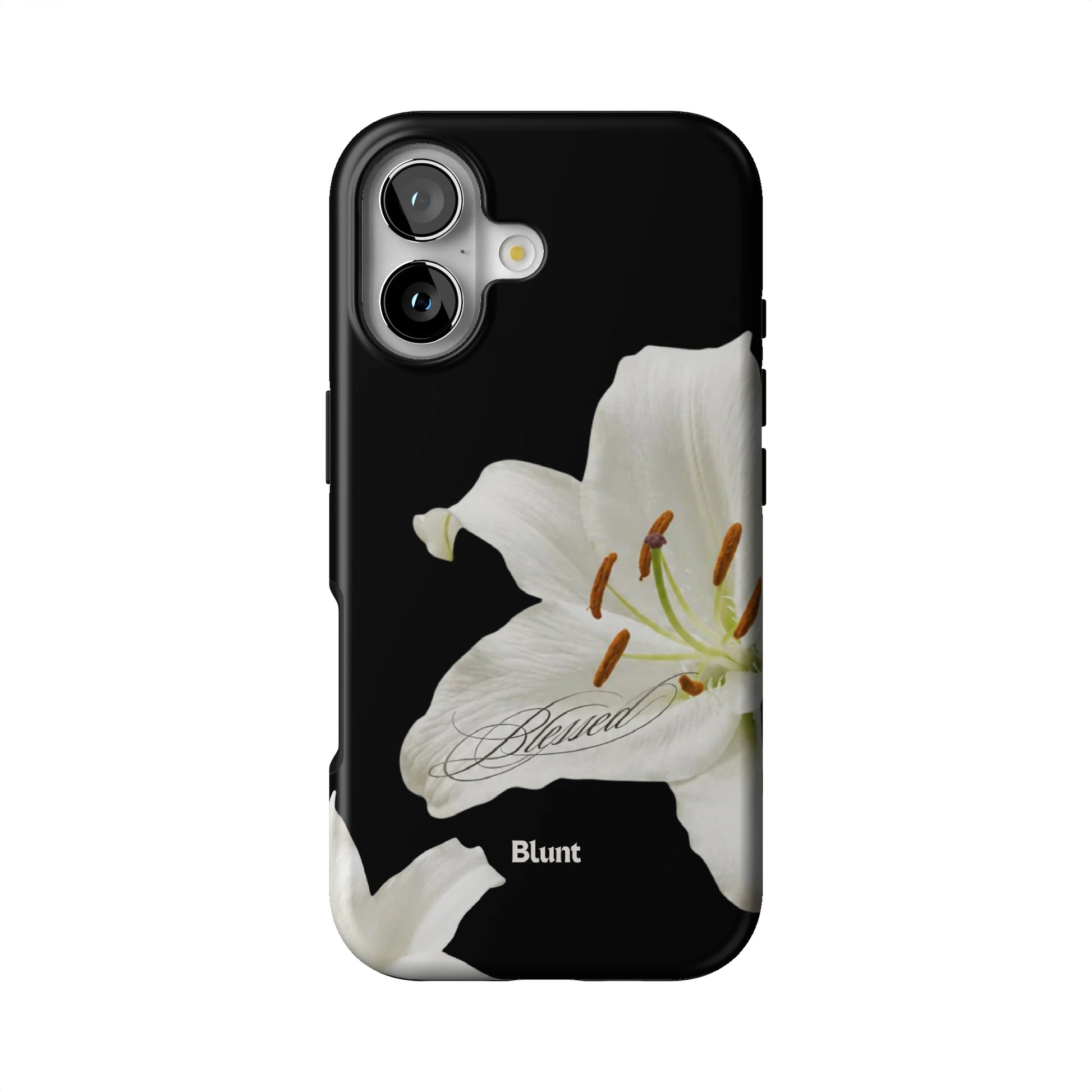 Iphone_17_Iphone_1