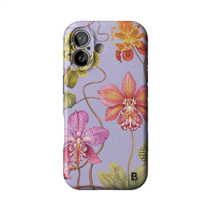 Iphone_17_Iphone_1