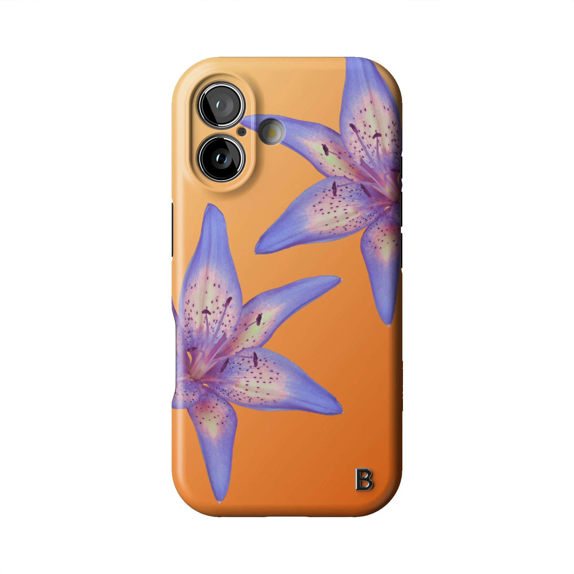 Iphone_17_Iphone_1
