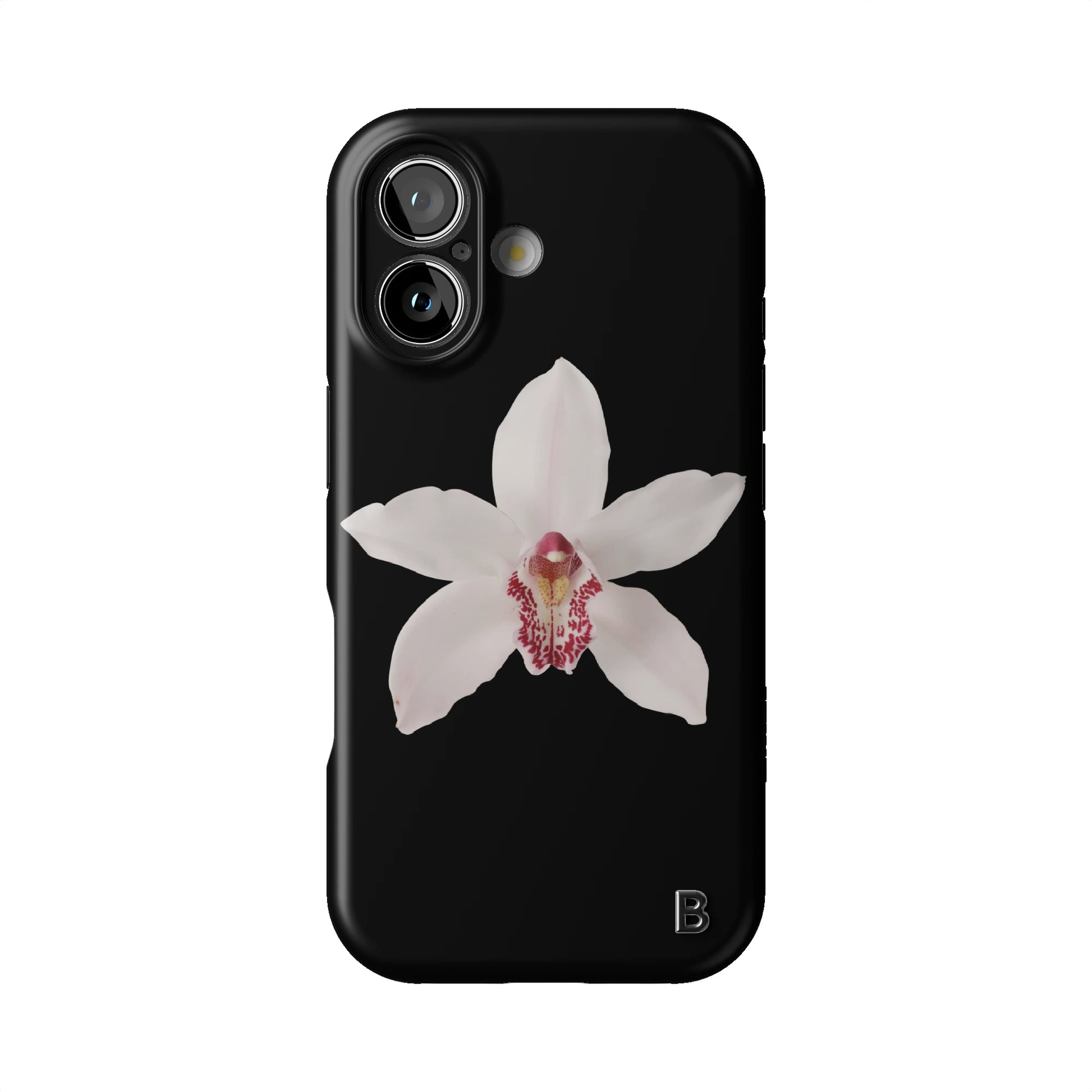 Iphone_17_Iphone_1