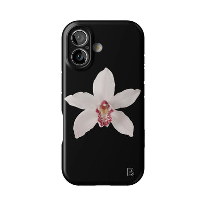 Iphone_17_Iphone_1