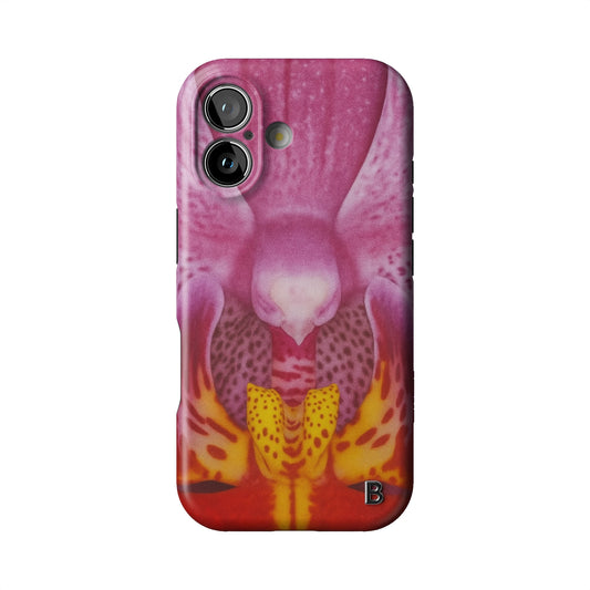 Iphone_17_Iphone_1