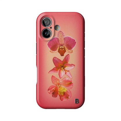 Iphone_17_Iphone_1