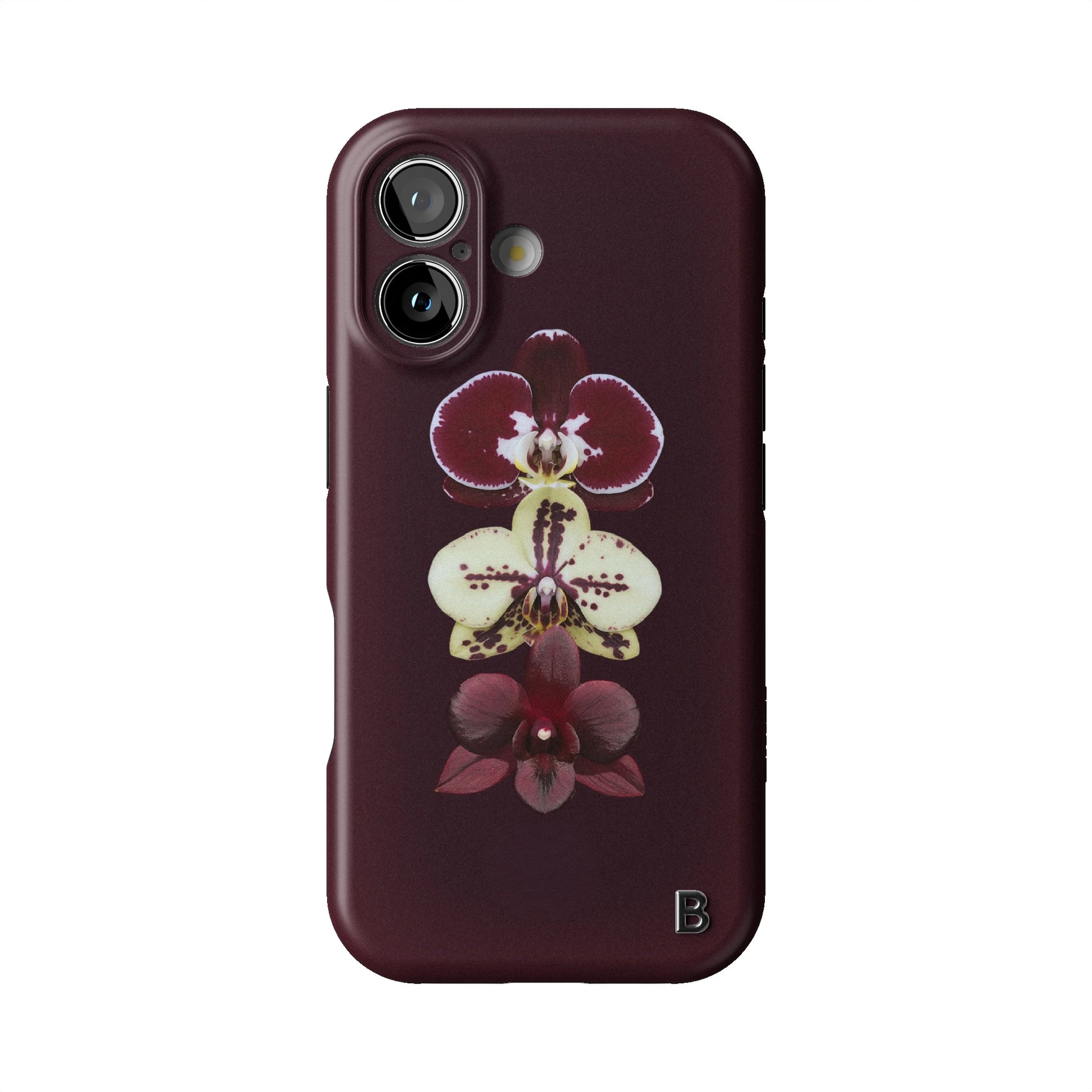 Iphone_17_Iphone_1