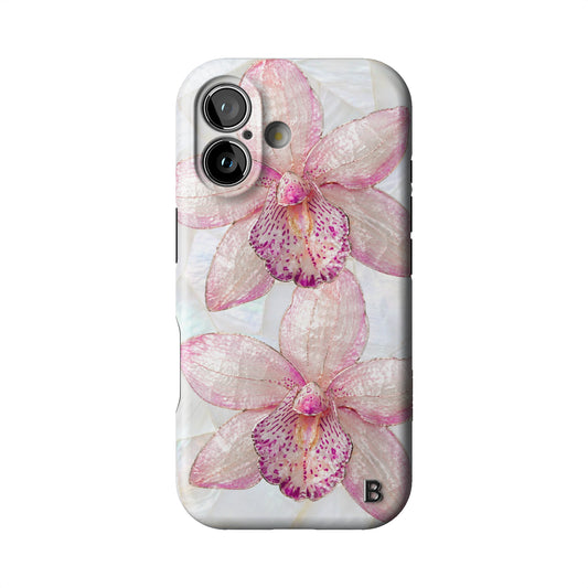 Iphone_17_Iphone_1
