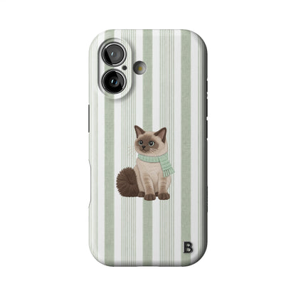 Iphone_17_Iphone_1