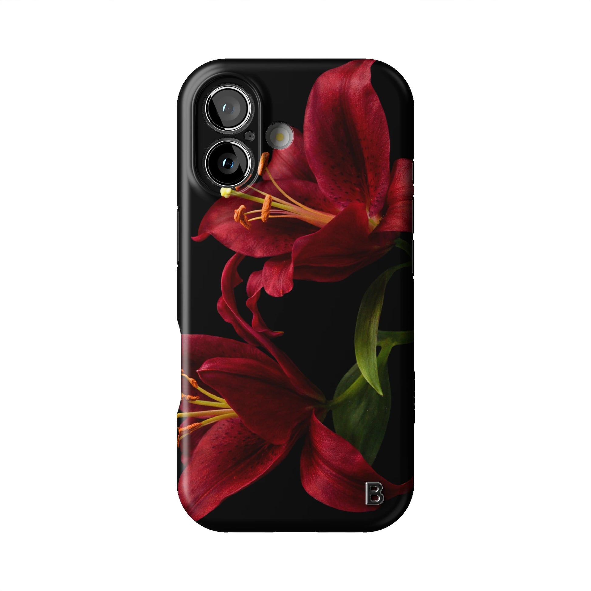 Iphone_17_Iphone_1