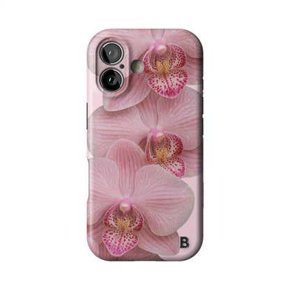 Iphone_17_Iphone_1