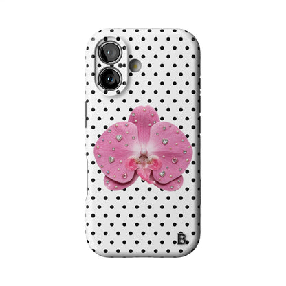Iphone_17_Iphone_1