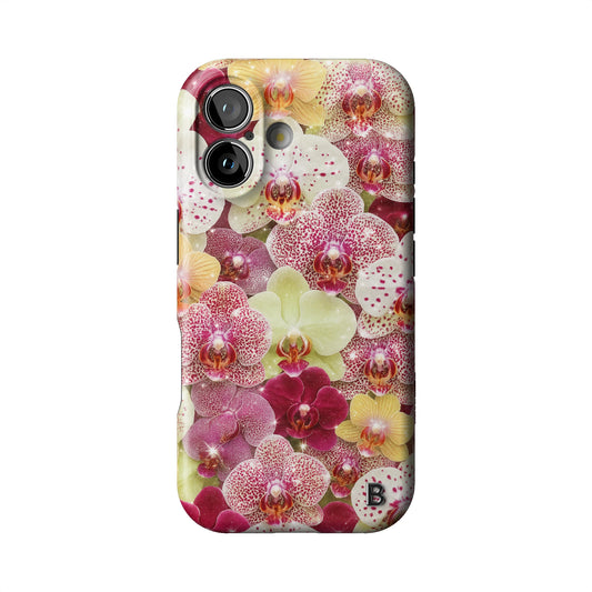 Iphone_17_Iphone_1