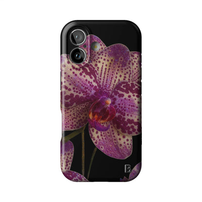 Iphone_17_Iphone_1