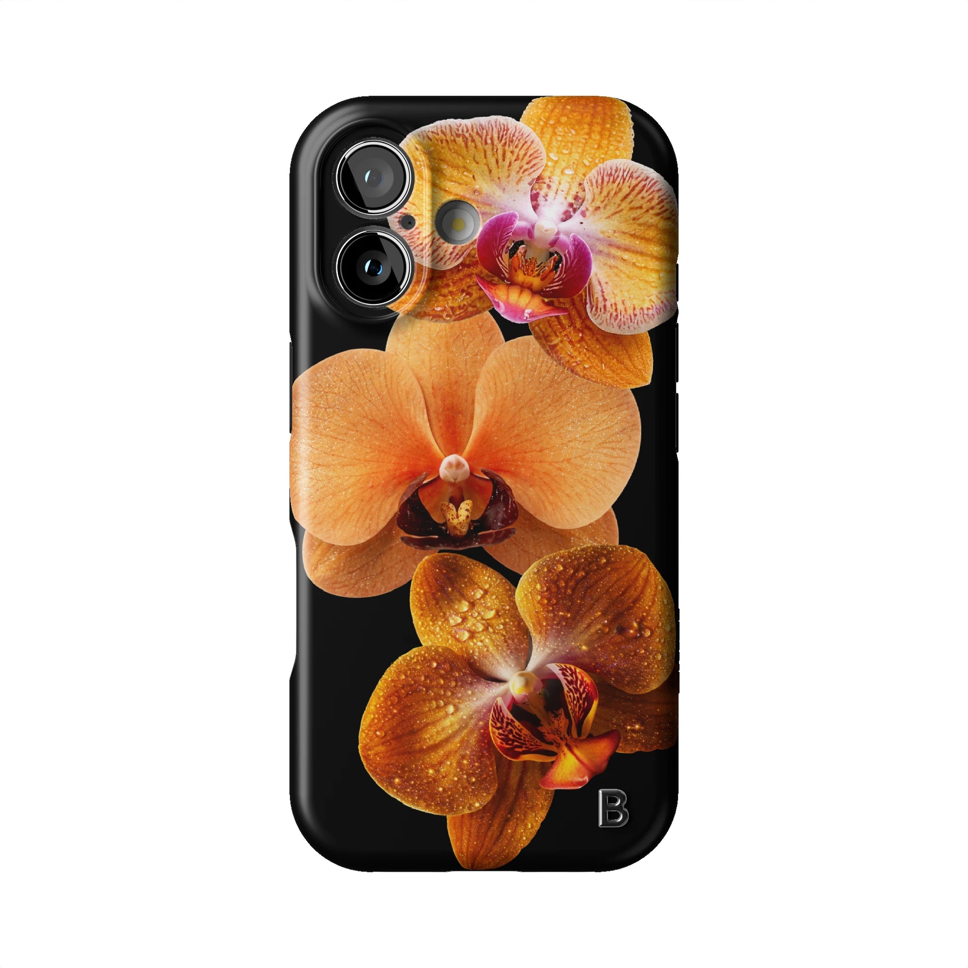 Iphone_17_Iphone_1