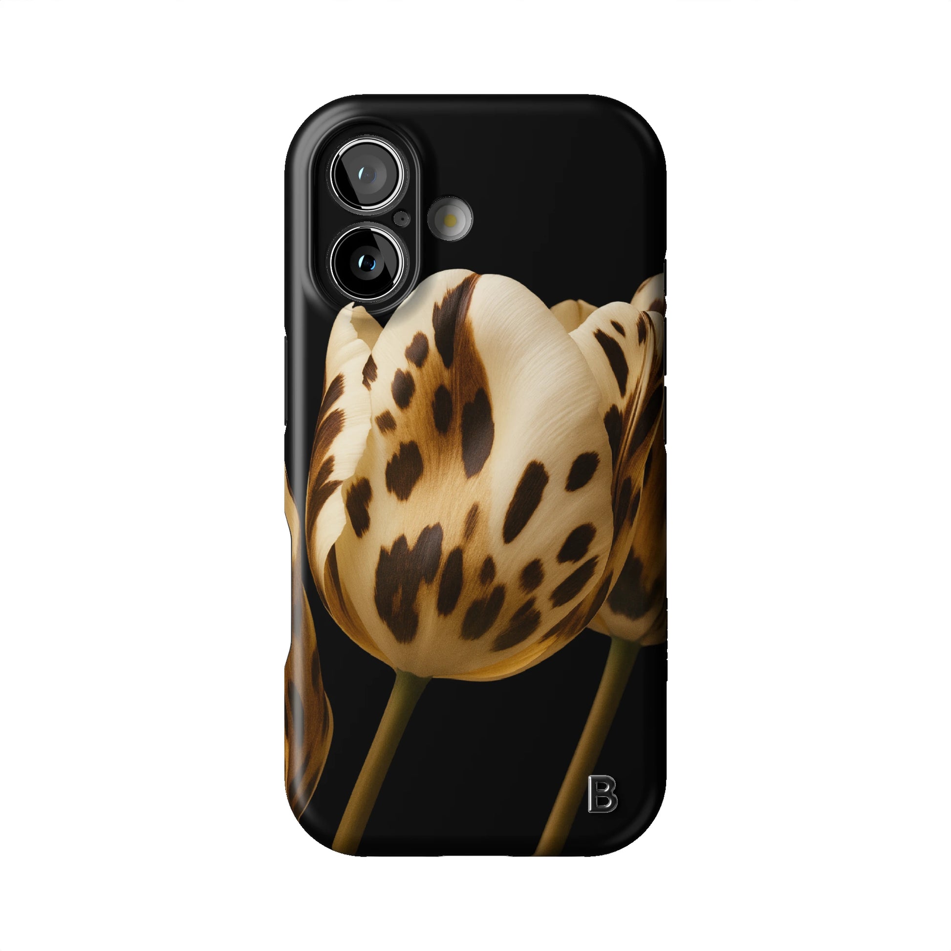 Iphone_17_Iphone_1