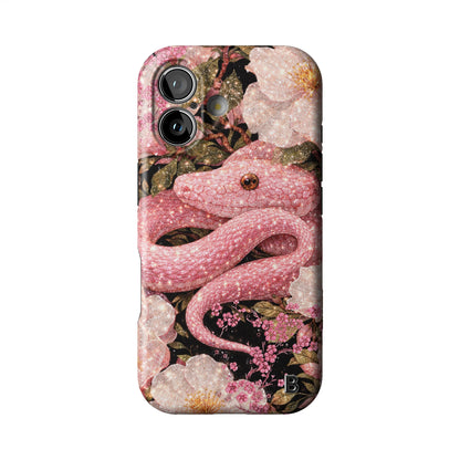 Iphone_17_Iphone_1