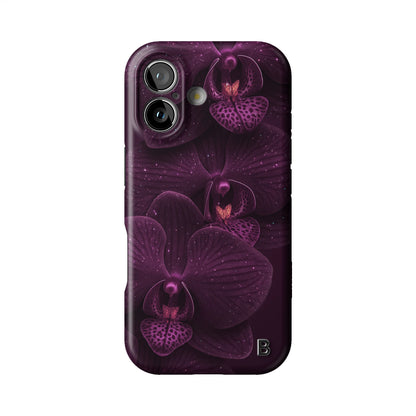 Iphone_17_Iphone_1