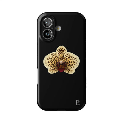 Iphone_17_Iphone_1