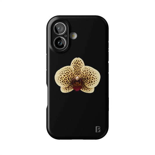 Iphone_17_Iphone_1